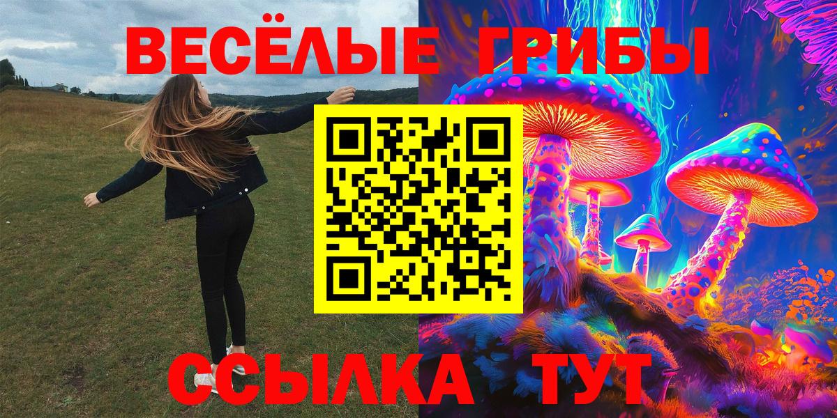 Псилоцибиновые грибы мицелий Кимовск