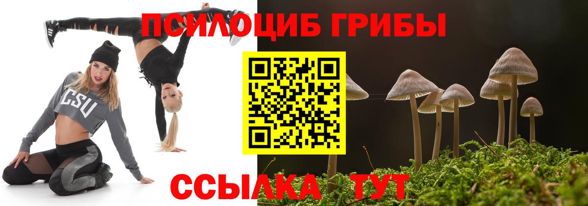 Псилоцибиновые грибы Psilocybine cubensis  Вход с VPN  Кимовск 